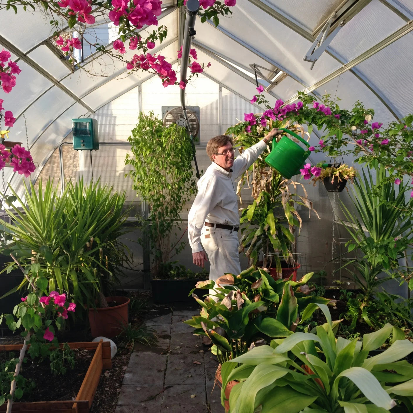 Riga Greenhouses