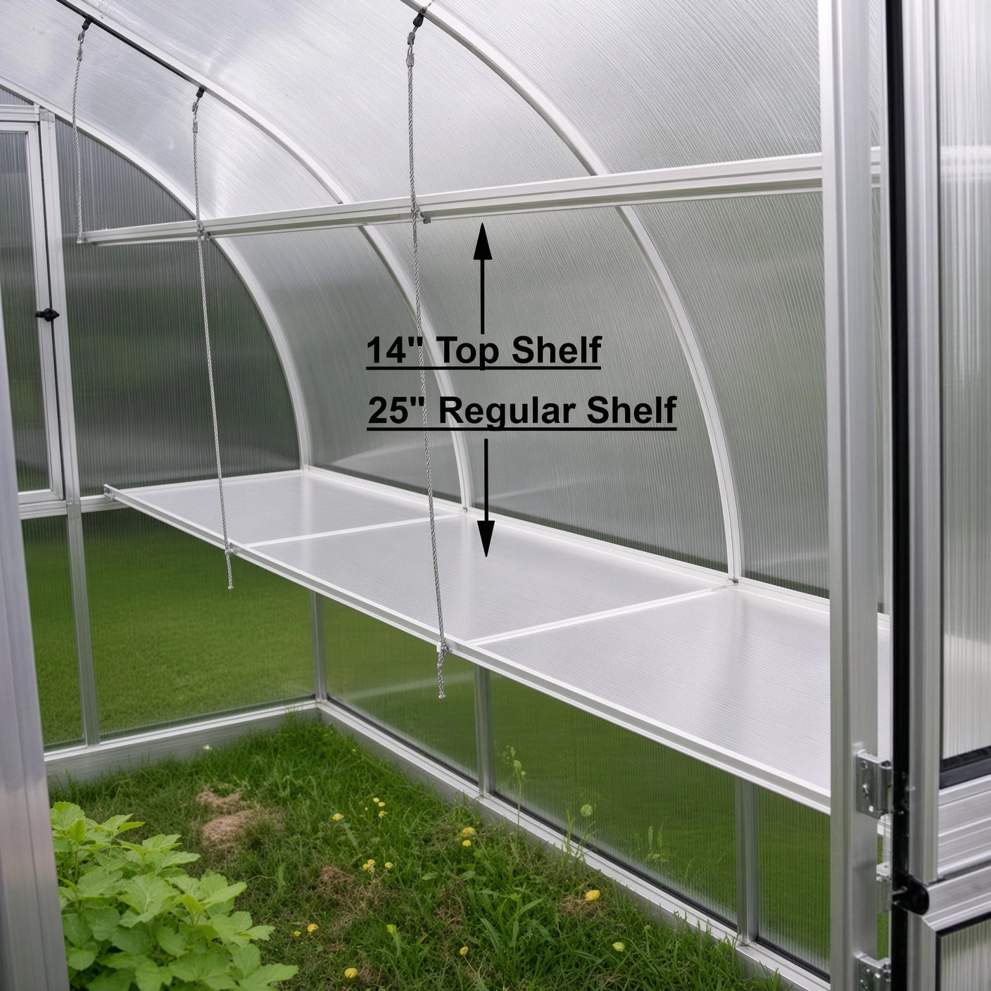 Bottom Shelf for Riga V: 25